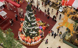 Ngắm thông Noel rực rỡ phố Sài Gòn
