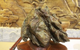 Nhà sưu tập Phan Khôi triển lãm đá cảnh Suiseki tại Đà Nẵng