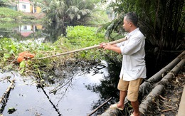 Nước thải chưa xử lý từ KCN Lê Minh Xuân xả thẳng ra kênh nhiều năm
