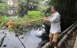 Clip nước thải KCN Lê Minh Xuân xả thẳng ra kênh rạch Bình Chánh