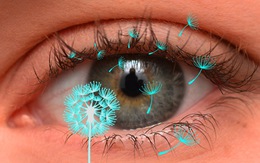 Dị ứng mắt và cách điều trị