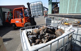 Kinh hoàng 20 container rác điện tử ở cảng Sài Gòn