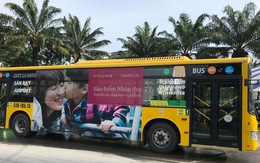 Tuyến buýt từ sân bay Tân Sơn Nhất đi Vũng Tàu kịp phục vụ tết