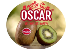 Kiwi xanh Oscar - đặc sản nước Pháp tại Klever Fruits