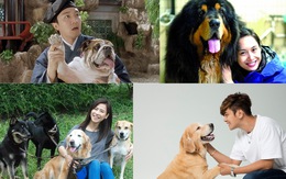 Điểm danh các nghệ sĩ Hoa ngữ tình nguyện làm 'sen cho chó'