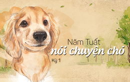 Năm Tuất nói chuyện chó: Khi chó đóng phim