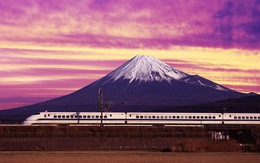 Shizuoka: miền quê bình yên ở xứ mặt trời mọc