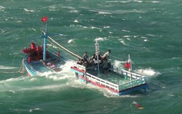 Cảnh sát biển cứu sống 12 ngư dân trước tết