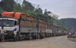 Lạng Sơn giải quyết tình trạng dồn ứ nông sản ở các cửa khẩu