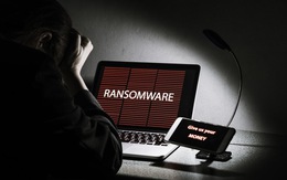 Ransomware mới nổi Scarabey xóa dần dữ liệu sau mỗi 24 giờ