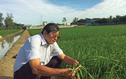 Anh hùng lao động Hồ Quang Cua - người tìm đẳng cấp gạo Việt