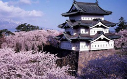Đi Nhật Bản ngắm hoa anh đào ở đâu đẹp nhất? (phần 2)