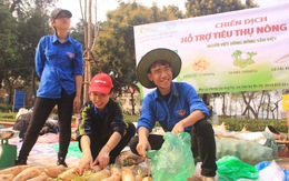 Giá 'giải cứu' khoai tây: 12.000 đồng/kg, su hào: 3.000, củ cải: 4.500