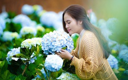 5 kinh nghiệm chụp hoa ở Đà Lạt
