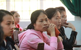 Đắk Lắk đề nghị tạm dừng đưa tin vụ 500 giáo viên mất việc