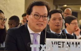 Việt Nam phản đối mạnh mẽ thông cáo của chuyên gia nhân quyền LHQ
