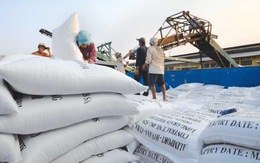 Giải pháp nâng cao giá trị gạo xuất khẩu Việt Nam
