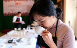 Nhật bao tiêu sản phẩm từ các vườn thắng giải Cà phê ngon Đà Lạt 2018