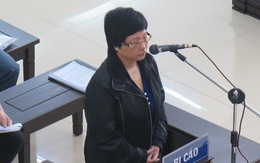 Luật sư của bà Châu Thị Thu Nga đề nghị hủy án sơ thẩm