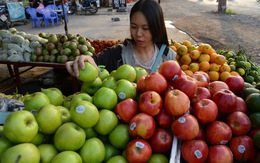 Truy xuất nguồn gốc trái cây nhập khẩu: Vẫn còn bỏ ngỏ
