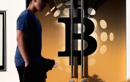 ‘Bitcoin trở lại’ tăng thêm 20% giá trị theo tuần