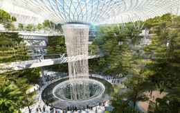 Ngoài các dịch vụ siêu cao cấp, sân bay Singapore sắp có cả khu rừng bên trong