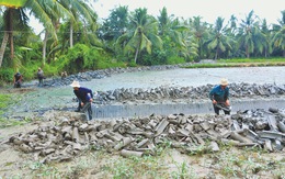 Chuyển đổi để thích nghi