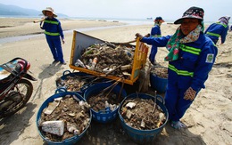 Bãi biển Đà Nẵng ngập rác sau mưa lớn