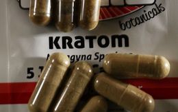 Thực phẩm thảo dược Kratom nhiễm khuẩn salmonella
