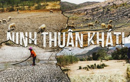 Ninh Thuận khát cháy ngay đầu mùa khô