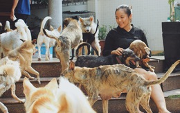 Cô gái 9X 'làm mẹ' của hơn 100 chó mèo hoang