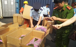 Lại phát hiện 2,5 tấn lá Khát tại cảng Hải Phòng