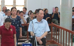 Cựu phó giám đốc Sở Nông nghiệp Hà Nội lãnh 12 năm tù
