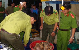 Quảng Nam phá đường dây buôn bán động vật hoang dã