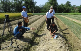 Cảnh báo tai họa do dông sét