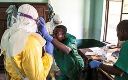 WHO lo ngại nguy cơ tái bùng phát dịch Ebola ở châu Phi