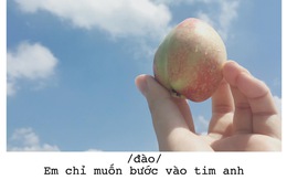 Bộ ảnh 'thả thính' bằng trái cây của cô gái Sài Gòn
