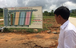 Phú Quốc tạm ngưng chuyển mục đích sử dụng đất phân lô tách thửa