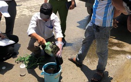 'Đoạn kênh nhớt thải' tại Đà Nẵng là do xe bồn đổ trộm