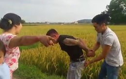 Triệu tập 4 người làm rõ vụ 'bảo kê' máy gặt lúa