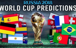 VTV đồng ý chia sẻ bản quyền World Cup với HTV