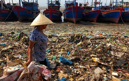 Kinh hoàng biển… rác ở Hậu Lộc, Thanh Hóa