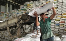 Việt Nam trúng thầu cung cấp 130.000 tấn gạo cho Philippines