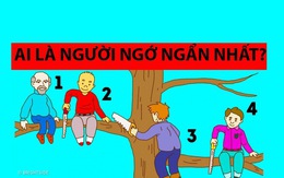 Trắc nghiệm vui: Ai là người ngớ ngẩn nhất?