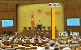 86,86% đại biểu Quốc hội tán thành thông qua Luật an ninh mạng