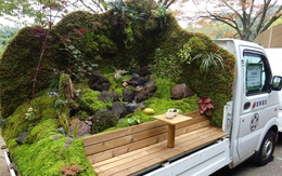 Thiếu đất, người Nhật thi nhau làm vườn trên xe tải
