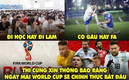 Fan Việt sẵn sàng một mùa hè ăn - ngủ cùng bóng đá