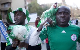 Cổ động viên Nigeria bị cấm mang gà vào sân vận động World Cup 2018