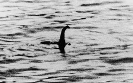 Quái vật hồ Loch Ness chỉ là một con cá da trơn cỡ lớn?