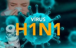 Bệnh nhân thứ hai tử vong ở TP.HCM vì mắc cúm A H1N1